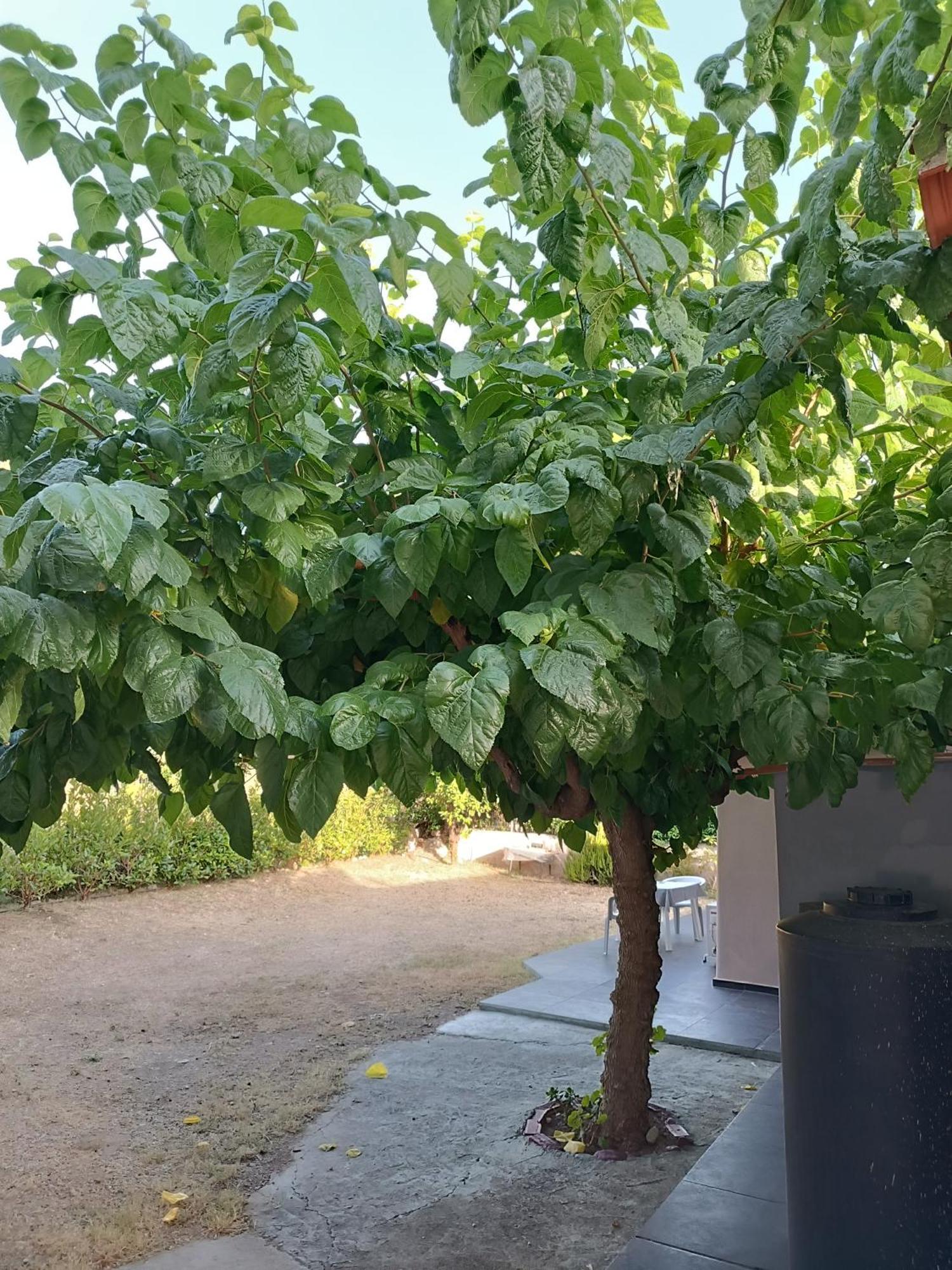 Σπίτι κοντά στη θάλασσα Διαμέρισμα Αίγιο Εξωτερικό φωτογραφία